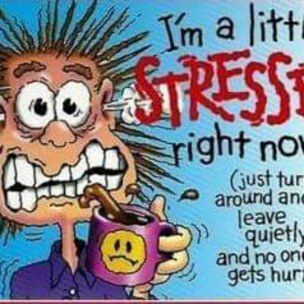 Meet your Posher, Moa